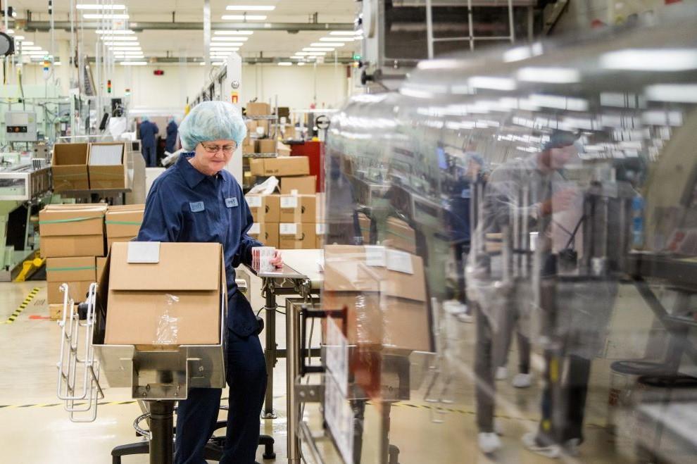 Packing Boxes in Plant