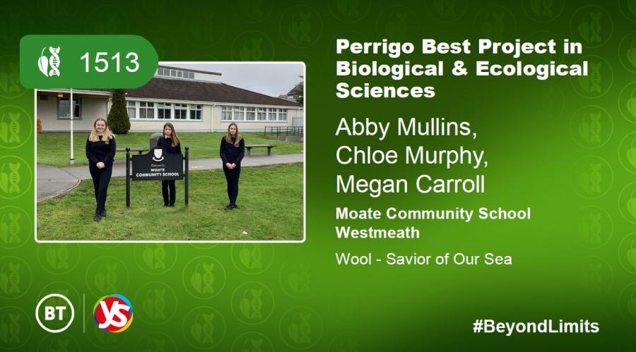 BT Young Scientists 